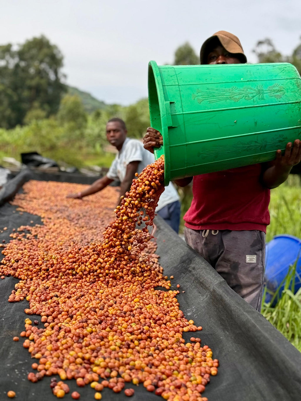 KIGEZI VALLEY